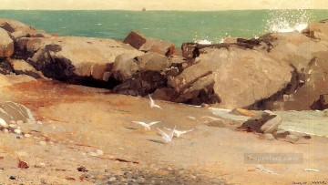 岩だらけの海岸とカモメ リアリズム海洋画家ウィンスロー・ホーマー Oil Paintings